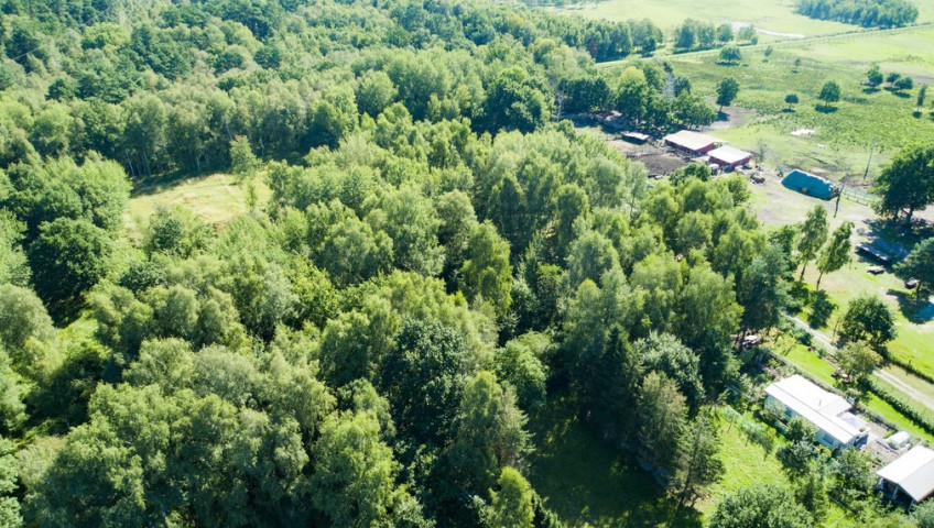 Działka Sprzedaż Świnoujście Łunowo